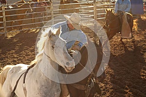 Stockman photo