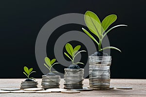 StockPhoto Investment concept, coins stack with green seedling on black
