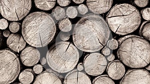 Stockpile of sawn wooden logs close-up