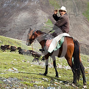 Stockrider with flock in Alay mountains on pastureland