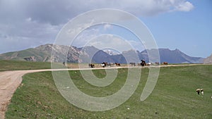 Stockrider shepherd with his livestock horses.