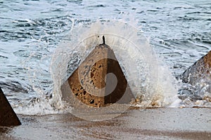 Stockton Beach World War Two Tank Trap photo