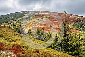 Vrch Stoh, Malá Fatra, Slovensko, jarní scéna