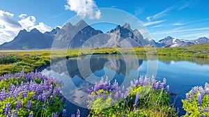 Stokksnes, Iceland: Vestrahorn Mountain & Scenic Lake with Blue Skies, Purple Flowers & Green Grass