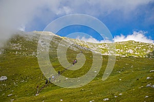 Stol mountain, Slovenia