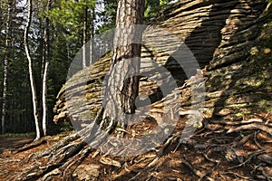 Stolby Nature Sanctuary. Sayan mountains. Russia