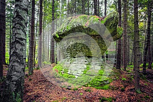 Stolowe Mountains National Park, Poland