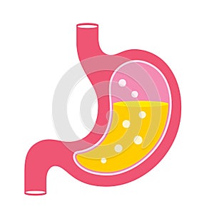 Stomach acid vector cartoon