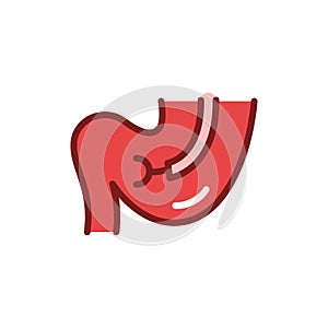 Stomach biopsy line icon. Isolated vector element.
