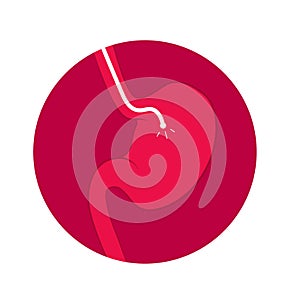 Stomach endoscopy icon
