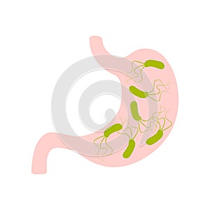 Stomach with helicobacter pylori flat icon photo