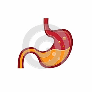 Stomach human organ icon flat illustration vector isolated in white background photo