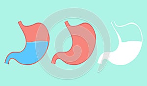 Stomach, stomach icon, full and empty stomach. Vector, cartoon illustration.