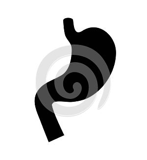 Stomach icon silhouette on white background. Internal organ without details photo
