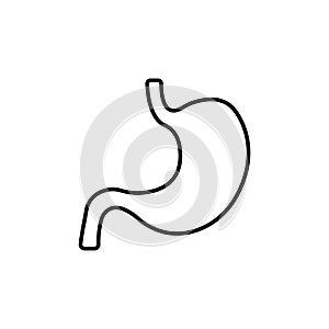 Stomach icon. Vector illustration. Organ icon 