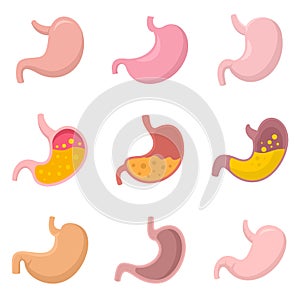 Stomach icons set flat vector isolated