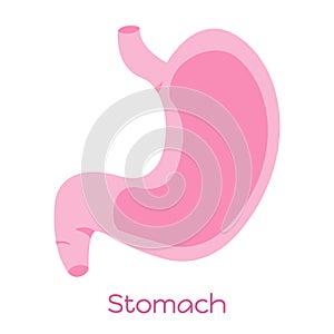 Stomach illustration in flat style. Viscera icon, internal organ