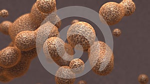 Stomach Illustration Model