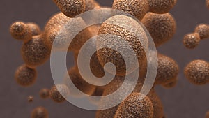 Stomach Illustration Model