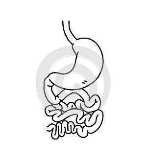 Stomach and intestines doodle, hand drawn vector illustration of human stomach internal organs