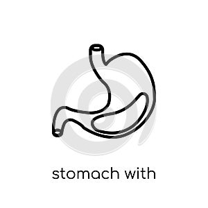 Stomach with Liquids icon. Trendy modern flat linear vector Stomach with Liquids icon on white background from thin line Human Bo
