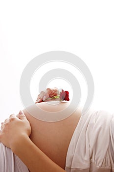 Stomach pregnant woman on white background