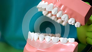 Stomatologist showing artificial jaw model, teaching dental care, dentistry