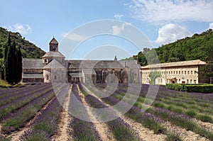 Stone abbey with lavender field in the backyard
