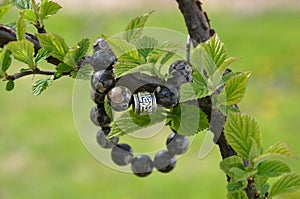 Stone agate bracelet