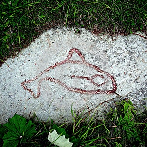 Stone Age carving depicting the fish - painted for better visibility, Frosta Peninsula, Norway