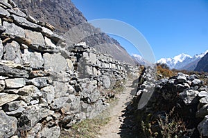 stone aligned path upto kyanging gompa