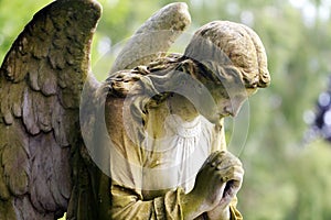 Stone angel in colour