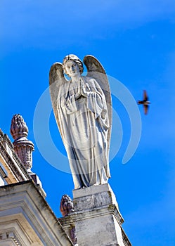Stone Angel Dove Basilica of Lady of Rosary Fatima Portugal photo
