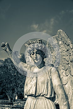 Stone angel headstone on a gravesite.