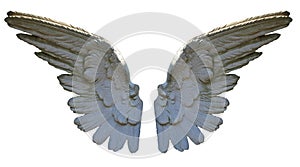 Stone Angel Wings