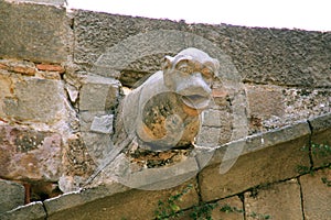 Stone animal gargoyle on church in Barcelona