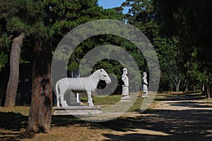 Stone animals and officials on the spirit path photo