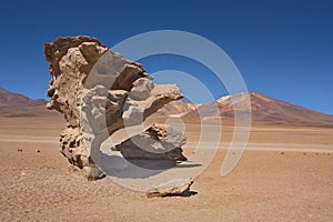 Stone of Arbol de piedra in the desert of Siloli in Bolivia photo