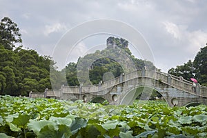 Stone arch bridge in lotus pond