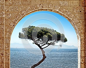 Stone arch and tree