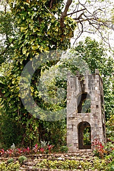 Stone Arches in Tropical Setting