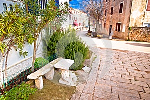 Stone artefacts and cobbled street of Visnjan