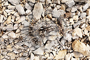 Stone background with dried tree root on higher exposure