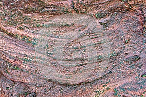 Stone background, sea stone texture