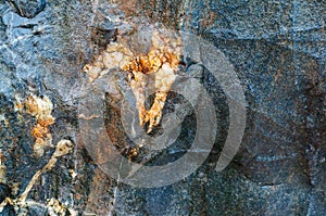 Stone background, sea stone texture