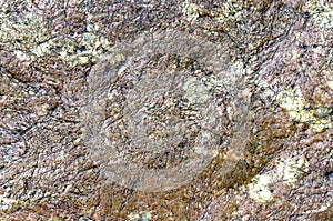 Stone background, sea stone texture