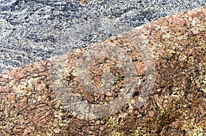 Stone background, sea stone texture