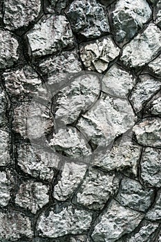 Stone background texture