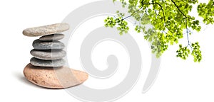 stone balance and maple leaves on white background