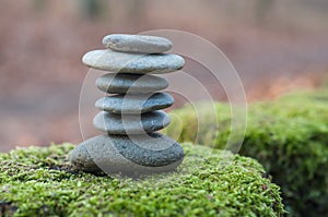 stone balance on moss in the forest